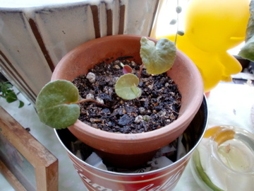 2011-4-28-1.jpg