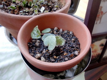 2011-4-28.jpg