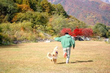 2013-10-29-1.jpg