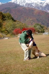 2013-10-29-2.jpg