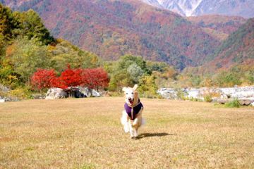 2013-10-6.jpg